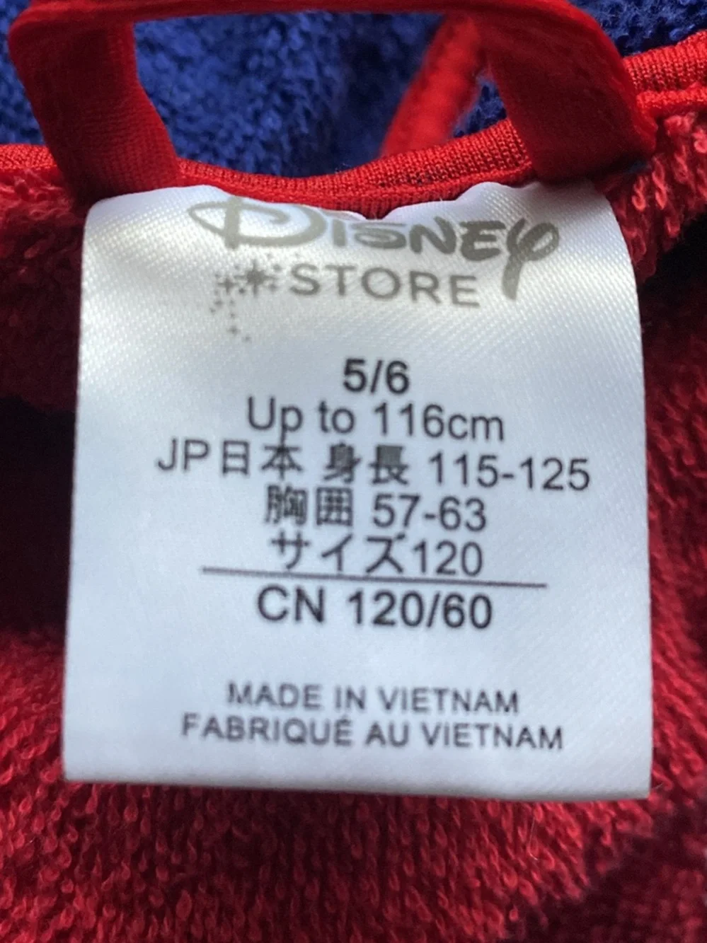 Disney soft hooded